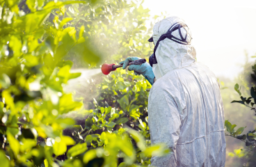 Fumigation & Pest Control